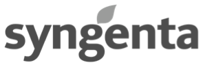 Logo Syngenta gray