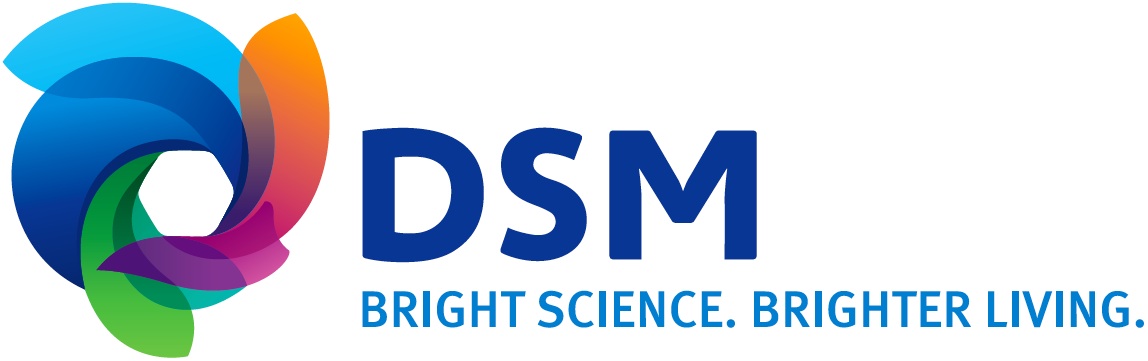 Logo DSM