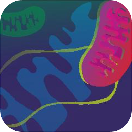 Icon LS2 Annual Meeting 2026