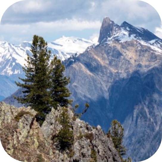 European Workshop on Biotechnology: Biobased Materials