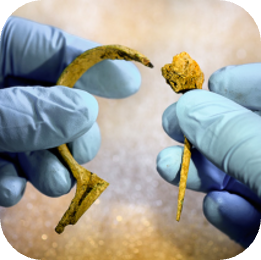 Swiss Heritage Science Network Meeting 2026