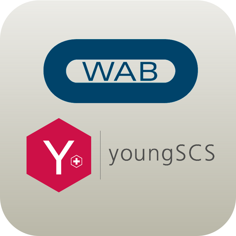 youngSCS Company Visit to WAB Group