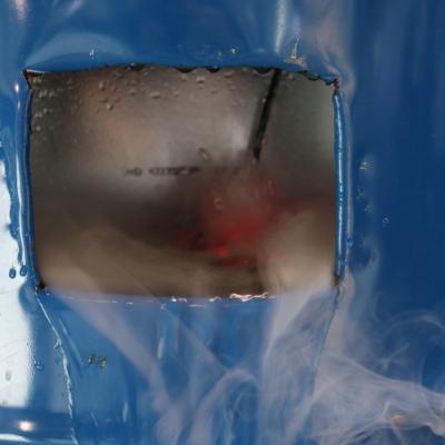 Gross Img 8810