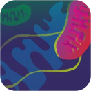 Icon LS2 Annual Meeting 2026