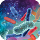 Rigi Workshop 2025: Microbiome Meets Metabolism: Linking microbial biotransformations of chemicals to human and environmental health.
