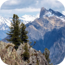 European Workshop on Biotechnology: Biobased Materials