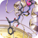 15th Wädenswil Day of Life Sciences