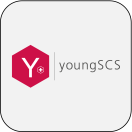 youngSCS: How to Survive Your First Years of Postdoc